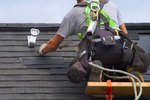 Best Roof Gutter Cleaning  in Hahira, GA